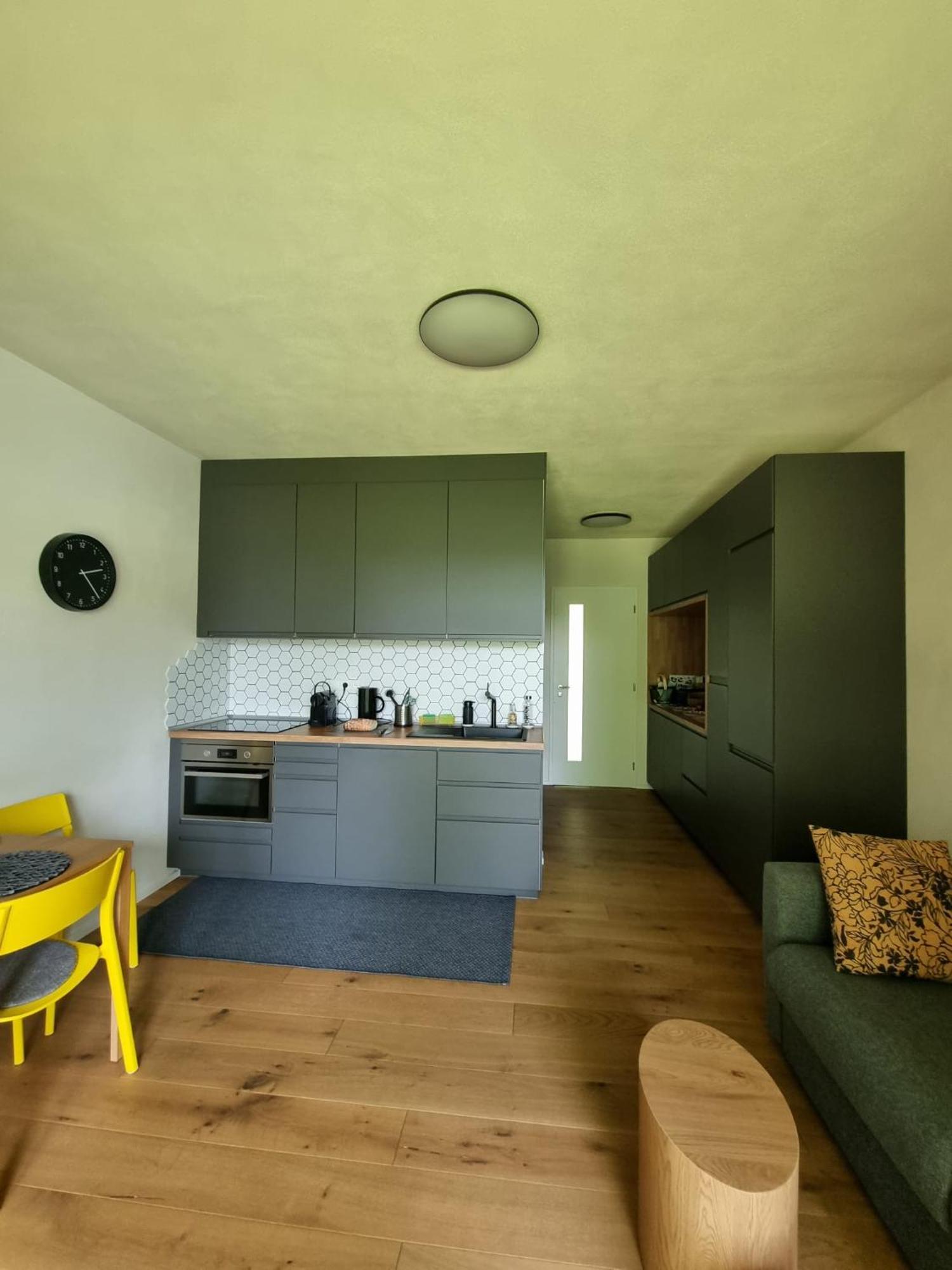 Apartman Berg Brcalnik Železná Ruda Kültér fotó